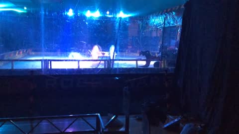 Robot Wars World Championships 3rd Place Playoff Colchester 2015: Manta Vs Gabriel