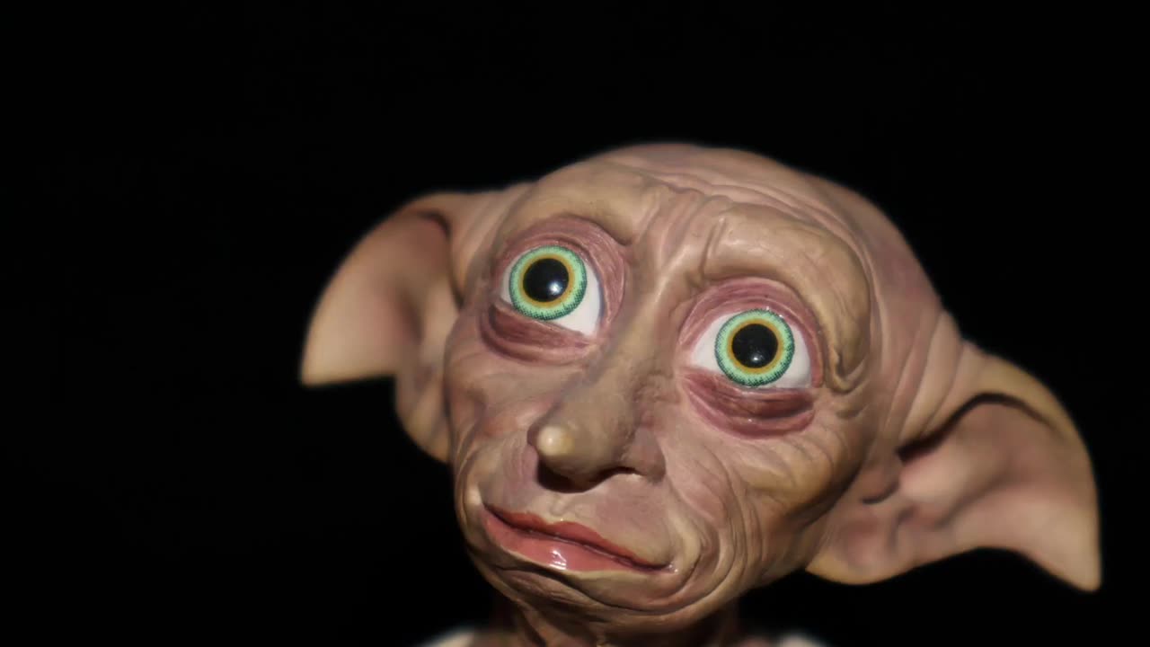 Dobby And Kreacher In Statue Form! #wizardingworld #harrypottercollection #harrypotter #dobby