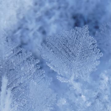 "Ne jugez pas pour ne pas être jugés"Matthieu 7:1,2#shortsvideo A#youtubeshorts #yt #shorts #youtube