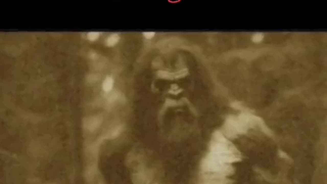 Bigfoot footage ?