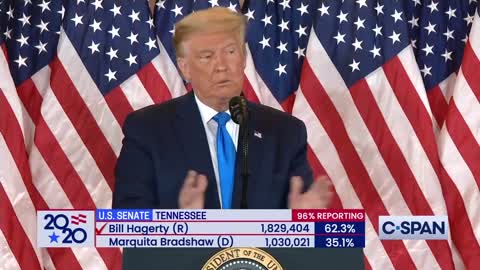 Voter fraud compilation from Infowars 11.06.2020