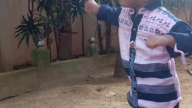 baby playing with a white hen cute moments and funny reaction