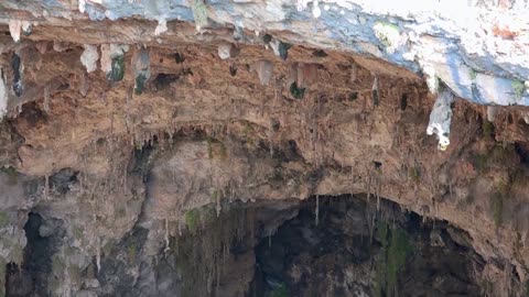 Cracking the Climate Code: Scientists Unearth Clues From 380 Million Years Ago