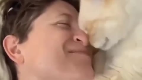 Cat giving the owner a kiss