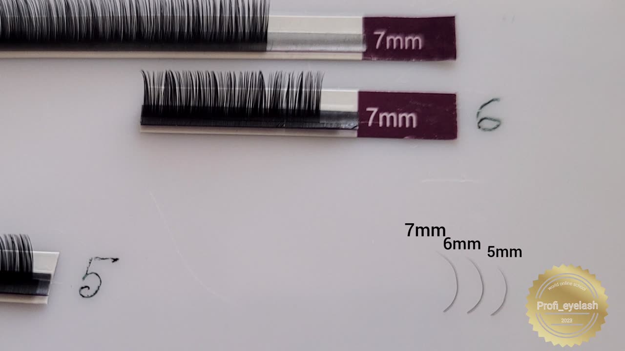 Lashes