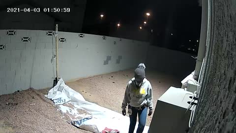 Stealing our ladder