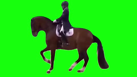 Rave Horse | Green Screen