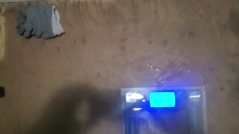 Weigh-In Nov 21, 2023