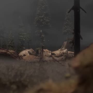 Forgotten plane wreck in the woods🎬✈️