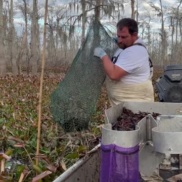 funny|prank|jokes|funny jokes|dad jokes|funny memes|funny video|fun|laughing|funny animal|knock