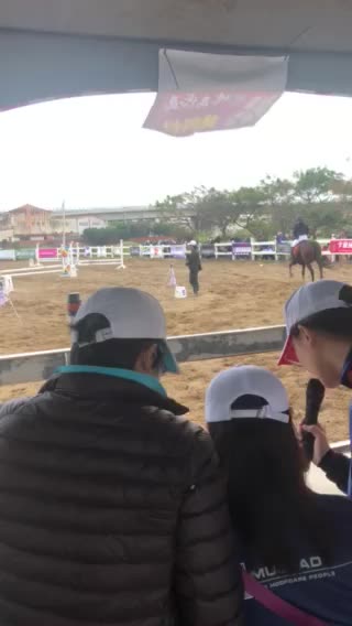 Horse competition