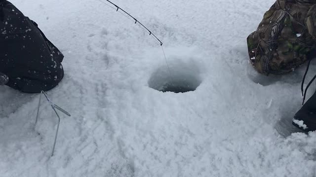 Ice fishing in the snow