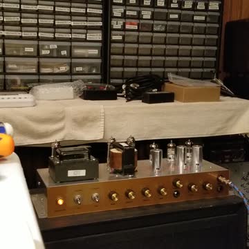 TriGens Amplification 18watt TMB #2