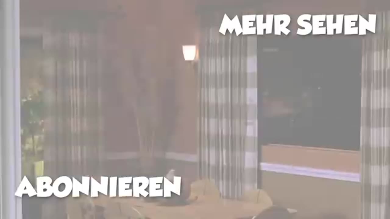 Beans Auto/Lustige clips/Mr.bean Duetschland