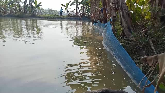 Fishing in village 2