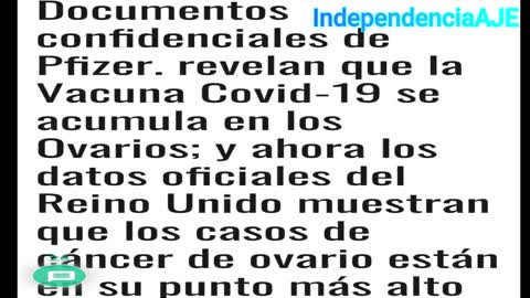 Mientras tanto. Rusia expone Pruebas en la ONU.