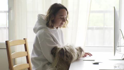 A Woman Using a Computer Beside her Dogs