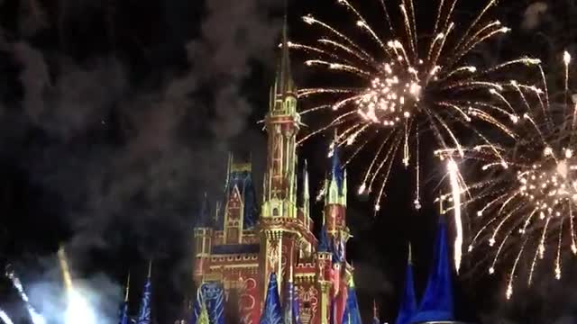 Disney World Castle Show and Fireworks