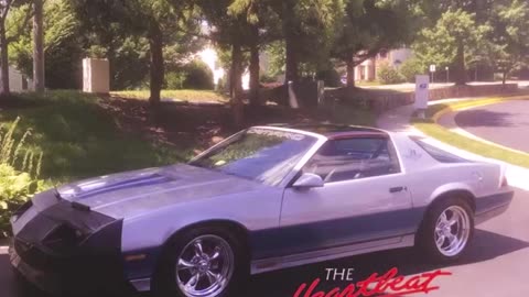 My 1982 z28