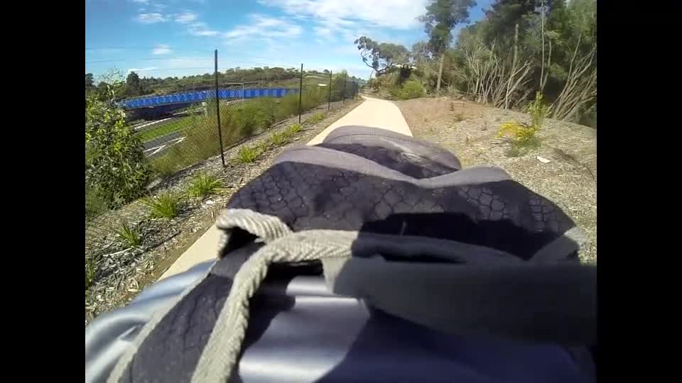 Magpie Keeps Attacking