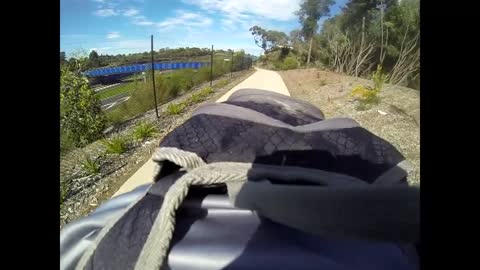 Magpie Keeps Attacking