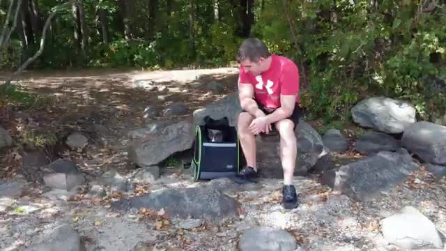 How we got our cats to enjoy car rides 6 steps