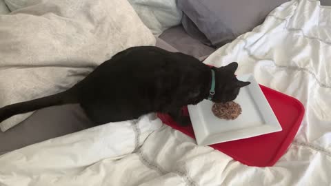 Breakfast in Bed for the Master of the House