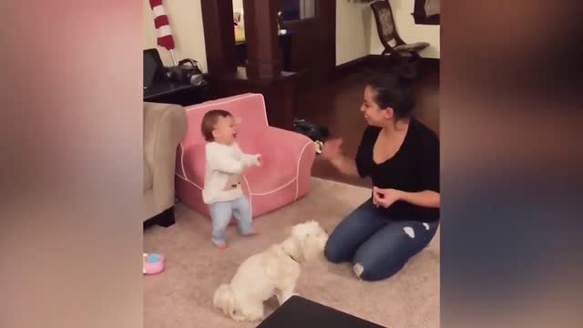 Babies and Dogs Funny Video #1