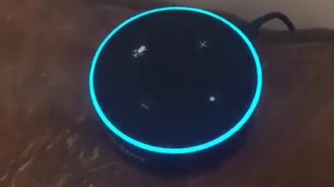 The Government Released A Virus