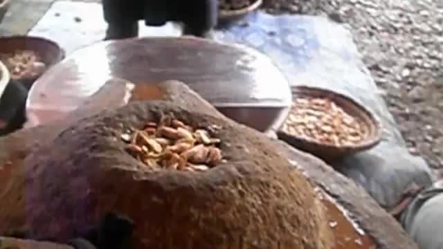 Argan Oil Morocco