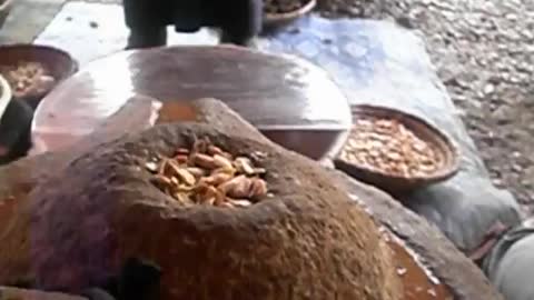 Argan Oil Morocco