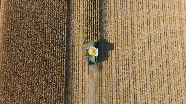 Harvest High view