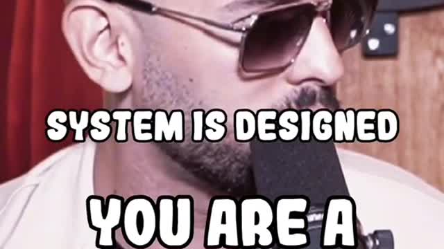 The System Is Designed To Destroy You...