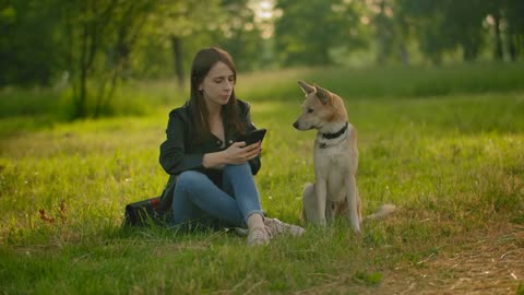 The girl checking her social networks in a smartphone next to the dog