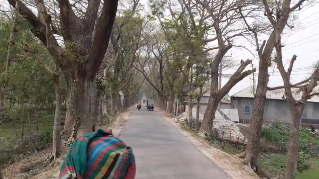 Nature of Bangladesh. Road nature