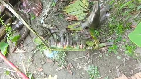 Fishing in small pond