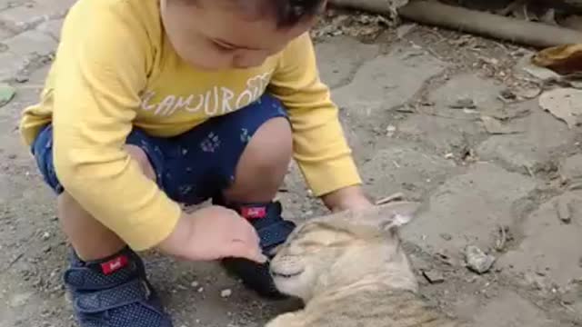 Cute little baby boy playing with cute baby Cat 😸