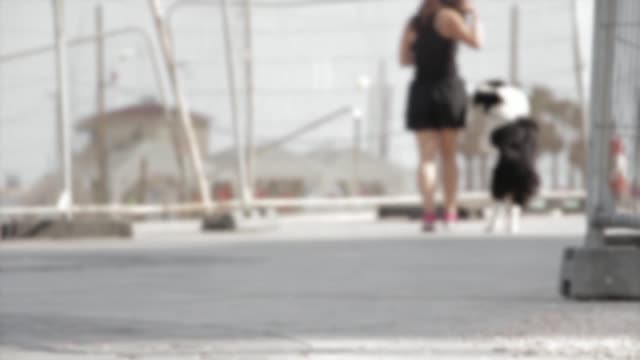 A beautiful girl and a nice black white dog,