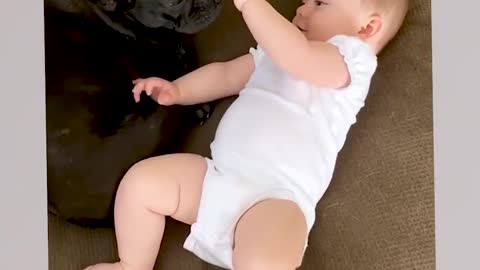 7 Cute Baby Playing With Dog Compilation 0:03 / 3:05