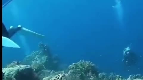 Watch Underwater Earthquake