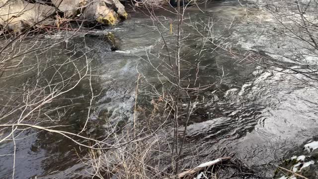 Hidden Secluded Area of Whychus Creek Trail – Central Oregon