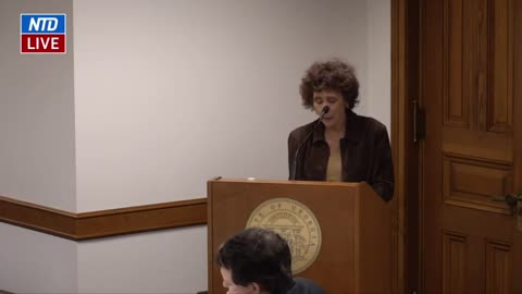 Debbie Fisher Testifies During Georgia Senate Hearing on Election Issues