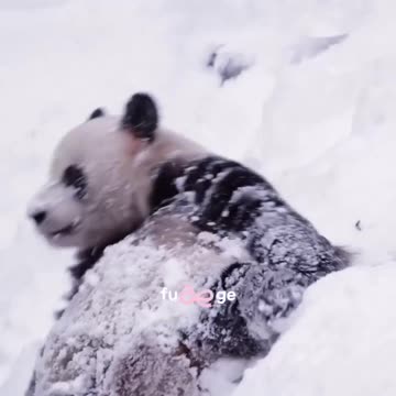 Everyone is excited about the season 😊