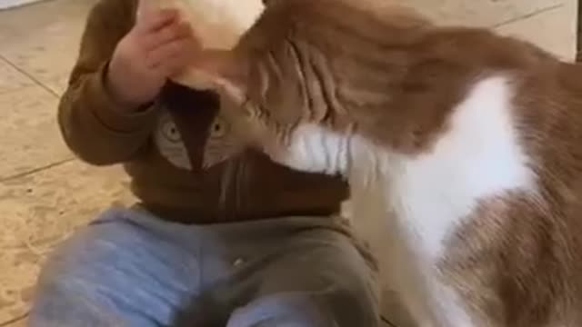 adorable baby share his food to his cat.mp4