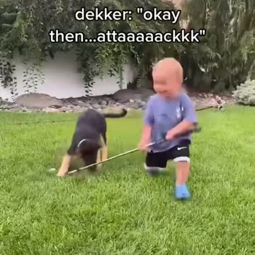 just a dog and his boy