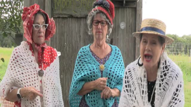 SNAPPIN' GRANNIES-FEAR NOT