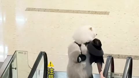 Cutest