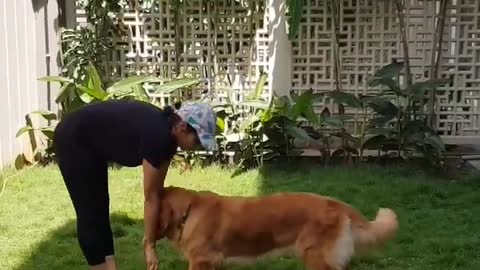 Yoga with dog..