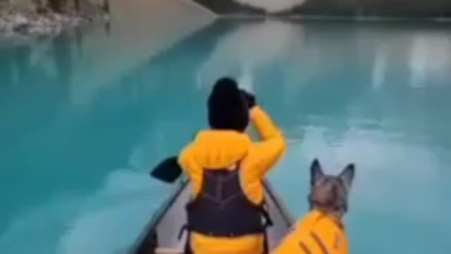 My dog enjoying the boat in lake moraine canada 🇨🇦
