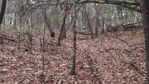 Riding a full size electric dirt bike on the trails.